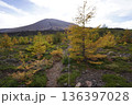 群馬県浅間山　スカイロックトレイルの吾妻火砕流上を通過中の景色　背景に浅間山2025年10月18日 136397028