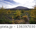 群馬県浅間山　スカイロックトレイルの吾妻火砕流上を通過中の景色　背景に浅間山2025年10月18日 136397030