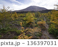 群馬県浅間山　スカイロックトレイルの吾妻火砕流上を通過中の景色　背景に浅間山2025年10月18日 136397031