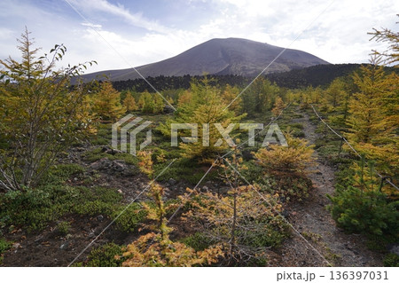 群馬県浅間山　スカイロックトレイルの吾妻火砕流上を通過中の景色　背景に浅間山2025年10月18日 136397031