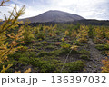 群馬県浅間山　スカイロックトレイルの吾妻火砕流上を通過中の景色　背景に浅間山2025年10月18日 136397032