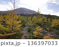 群馬県浅間山　スカイロックトレイルの吾妻火砕流上を通過中の景色　背景に浅間山2025年10月18日 136397033