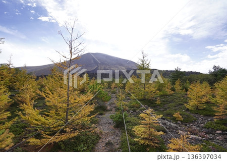 群馬県浅間山　スカイロックトレイルの吾妻火砕流上を通過中の景色　背景に浅間山2025年10月18日 136397034