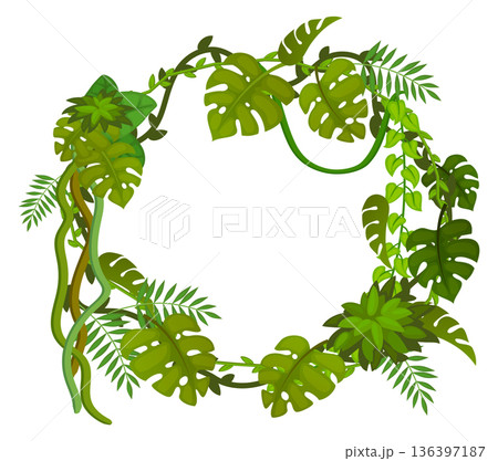 Jungle greenery wreath. Round rainforest botany frame Jungle greenery wreath. Round rainforest botany frame 136397187
