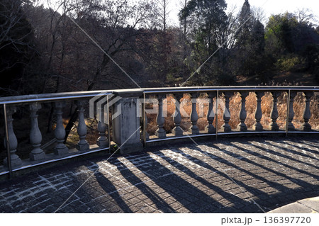 ロマンチック茨城（早朝、影が伸びる。ここは映画テルマエ・ロマエのロケ地になった。）水戸市、七つ同公園 136397720
