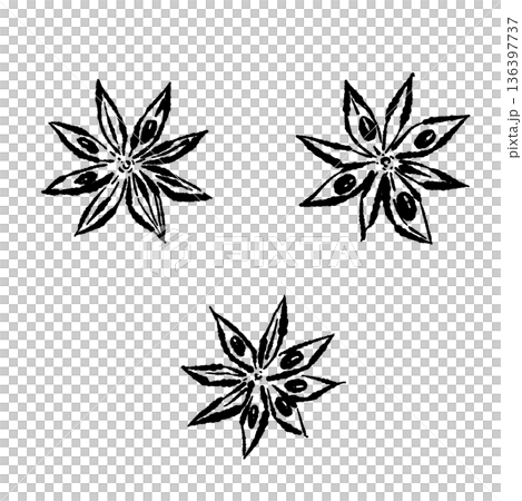 八角茴香（八角）的單色素描，展現其獨特的星形。 136397737