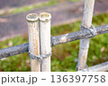 縄で結ばれた伝統的な竹垣の接写 136397758