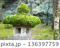 厚い苔に覆われた趣のある石灯籠 136397759