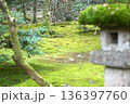 石灯籠と苔が美しい静寂な日本庭園 136397760