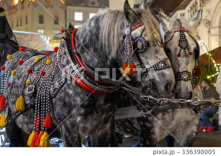 Dappled grey horses in ornate traditional harnesses adorned with vibrant red and yellow tassels, embodying historical charm for festive urban tourism 136398005