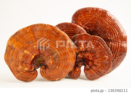 Lingzhi or Reishi mushroom isolated on white background with clipping path. Lingzhi or Reishi mushroom isolated on white background with clipping path. 136398211