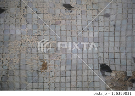 Dirty underwater mosaic tiles with fallen leaves Dirty underwater mosaic tiles with fallen leaves 136399831