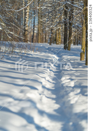 Winter trail adventure, Chilly woodland walkway with tracks and shadows, Frozen landscape with fresh marks and extended tree shade offering peaceful trekking atmosphere 136400324