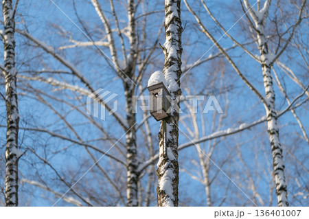 Snowcapped nest box attached to birch, rustic wooden texture, bright blue sky, seasonal garden maintenance story, volunteer habitat care suggestion, peaceful winter light 136401007