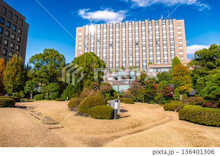 東京都新宿区 青空の下に広がる大隈庭園の美しい芝生 136401306