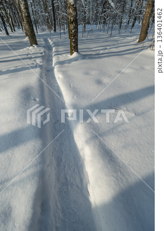 Single narrow track cutting through snow with long tree shadows, subtle footprints and powdery texture, minimalist composition evokes solitude and slow winter journey 136401462