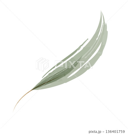 A single delicate green leaf illustration created with soft watercolor brushstrokes. 136401759