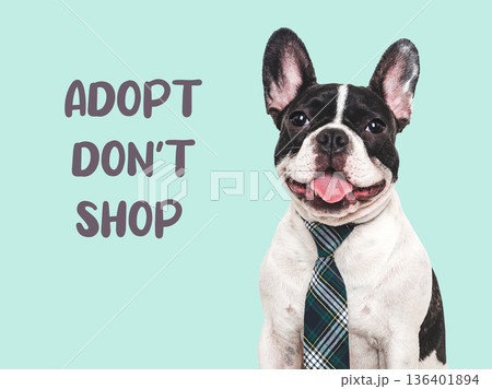 Charming pied dog with ADOPT DON'T SHOP text 136401894