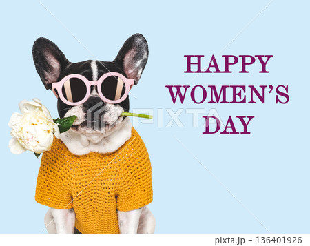 Happy Women's Day. Cute puppy and congratulatory inscription 136401926