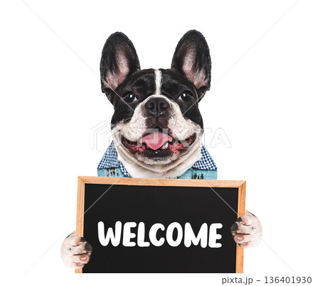 Cute puppy with a black Welcome sign Cute puppy with a black Welcome sign 136401930