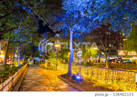 岡山市 夜の西川緑道公園を彩るイルミネーション 136402153