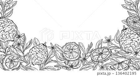 Monochrome Kaffir lime vector isolated rectangle border. Bergamot with slices, leaves and flowers line art black ink template. Citrus fruit frame with copy space for text. Floral illustration 136402195