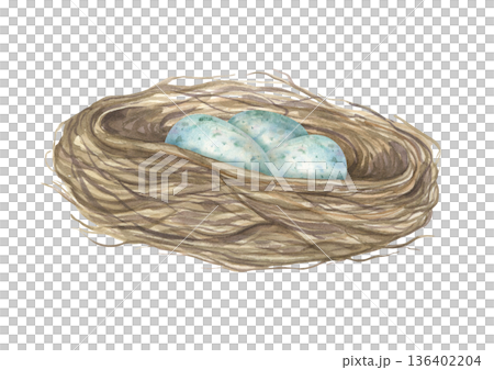 Three blue eggs in bird nest watercolor illustration on isolated background. Forest nest made of dried branches and cradling small speckled egg. For wildlife conservation content, spring design. Three blue eggs in bird nest watercolor illustration on isolated background. Forest nest made of dried branches and cradling small speckled egg. For wildlife conservation content, spring design. 136402204