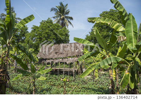THAILAND NONTHABURI PAK KRET KO KRET LANDSCAPE 136402714