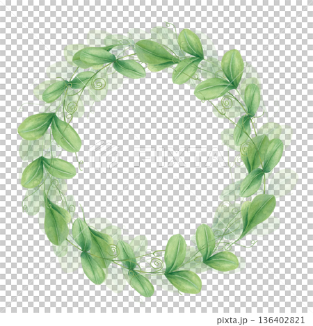 Fresh spring green pea shoots sprout watercolor wreath on isolated background. Hand drawn legume herbs, raw healthy ingredient. Circle frame for food concept, vegan recipe, organic product. 136402821