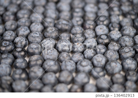 Detailed macro view of blueberries, frosted bloom and subtle color variations, crisp focus on skin details, studio style lighting, perfect for culinary blogs and packaging 136402913