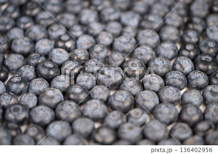 Market crate full blueberries ready for sorting and sale, natural bloom, soft directional light highlights shape and color, ideal for farmer market and produce branding 136402956
