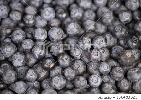 Minimalist blueberry cluster with soft lighting and balanced space. Stylish blueberry grouping set against plain background with gentle illumination and open negative space Minimalist blueberry cluster with soft lighting and balanced space. Stylish blueberry grouping set against plain background with gentle illumination and open negative space 136403025