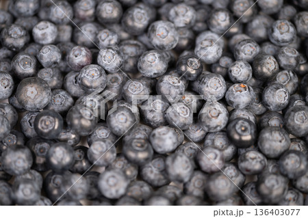 Fresh blueberries showcase natural freshness. Artisan farm produce arranged in vibrant display. Vivid arrangement of blueberries highlights natural ripeness and quality Fresh blueberries showcase natural freshness. Artisan farm produce arranged in vibrant display. Vivid arrangement of blueberries highlights natural ripeness and quality 136403077