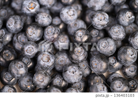 Natural lighting captures organic blueberries in countryside setting. Seasonal farm grown blueberries displayed in rustic basket under natural rural lighting conditions 136403103