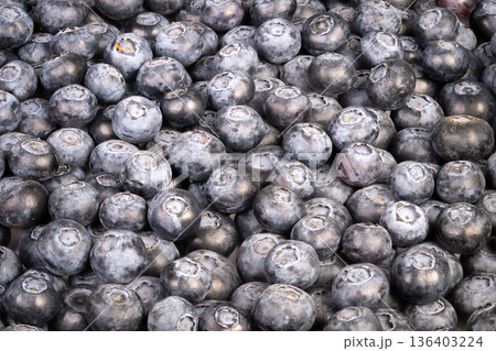 Vivid blue fruits with shiny bloom arranged for culinary presentation. Artisanal dessert ingredients showcasing lustrous blue berries with silver coating on marble background Vivid blue fruits with shiny bloom arranged for culinary presentation. Artisanal dessert ingredients showcasing lustrous blue berries with silver coating on marble background 136403224