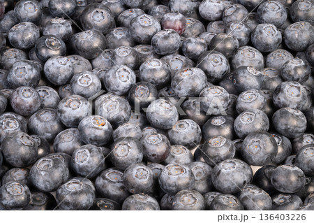 Closeup of ripe blueberries. Vibrant close shot emphasizing berry texture and hues. Highresolution image capturing intricate details and vibrant colors of blueberries Closeup of ripe blueberries. Vibrant close shot emphasizing berry texture and hues. Highresolution image capturing intricate details and vibrant colors of blueberries 136403226