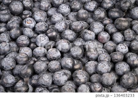 Textured blueberry motifs for packaging visuals. Pattern of blueberries assembled repeatedly to generate natural textured backgrounds suitable for various applications Textured blueberry motifs for packaging visuals. Pattern of blueberries assembled repeatedly to generate natural textured backgrounds suitable for various applications 136403233