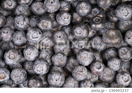 Closeup of textured blueberry with muted colors. Highly detailed depiction of blueberry skin featuring repetitive patterns and gentle highlights for design background 136403237