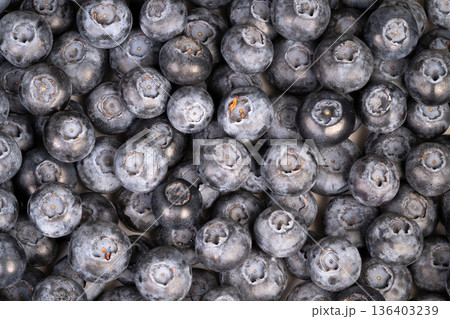 Handpicked farm blueberries in pile. Seasonal harvest with natural farm produce. Closeup of freshly harvested blueberries with matte bloom and subtle soil accents Handpicked farm blueberries in pile. Seasonal harvest with natural farm produce. Closeup of freshly harvested blueberries with matte bloom and subtle soil accents 136403239