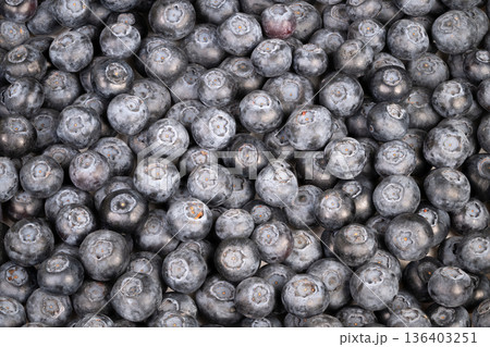 Farmfresh blueberries in morning light. Closeup of textured blueberries in crate. Detailed macro shot showcasing indigo blueberries with protective powder and textured skin Farmfresh blueberries in morning light. Closeup of textured blueberries in crate. Detailed macro shot showcasing indigo blueberries with protective powder and textured skin 136403251