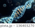 DNAの二重螺旋構造、生命の設計図を象徴する分子鎖のデジタルイラストai 136403270
