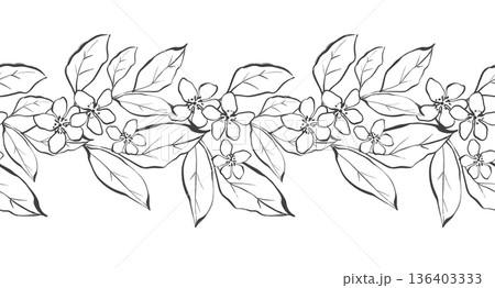 Hand drawn illustration of seamless horizontal border with elegant blooming branches and leaves in black line art style Hand drawn illustration of seamless horizontal border with elegant blooming branches and leaves in black line art style 136403333