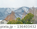 滋賀 メタセコイア並木と雪山の風景 136403432