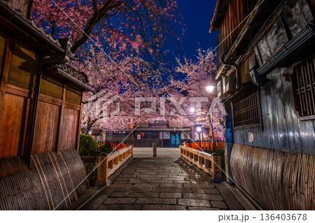 京都　祇園白川　巽橋の桜 136403678