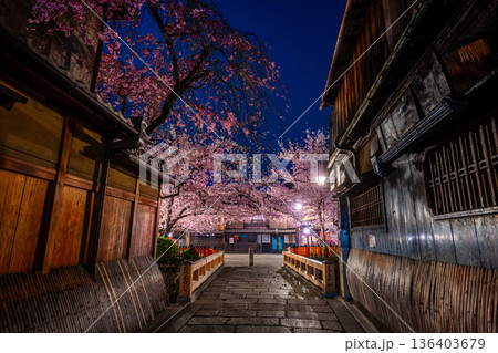 京都 祇園白川 巽橋の桜 京都 祇園白川 巽橋の桜 136403679