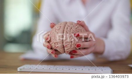 Exploring the wonders of the human brain through hands-on engagement in a bright office setting Exploring the wonders of the human brain through hands-on engagement in a bright office setting 136403973