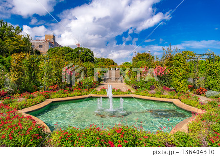 神奈川県横浜市 港の見える丘公園、香りの庭（沈床花壇）の噴水と秋の花々 136404310