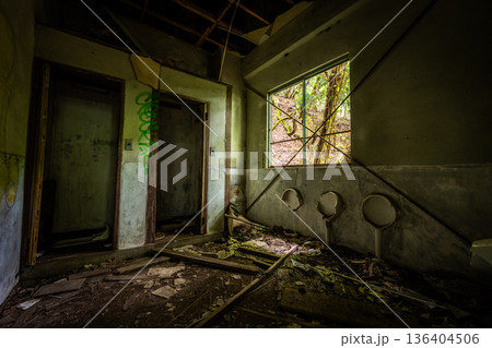奥多摩湖ロープウェイ　みとうさんぐち駅の廃墟と新緑の風景 136404506