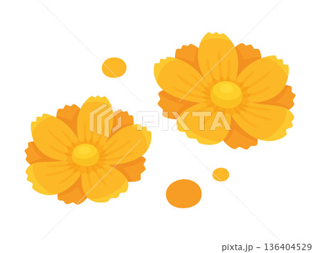 かわいいキバナコスモスの花のイラスト素材 かわいいキバナコスモスの花のイラスト素材 136404529