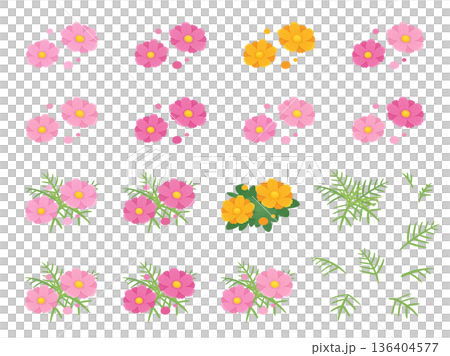 可愛的波斯菊和黃色波斯菊插畫素材套裝 可愛的波斯菊和黃色波斯菊插畫素材套裝 136404577